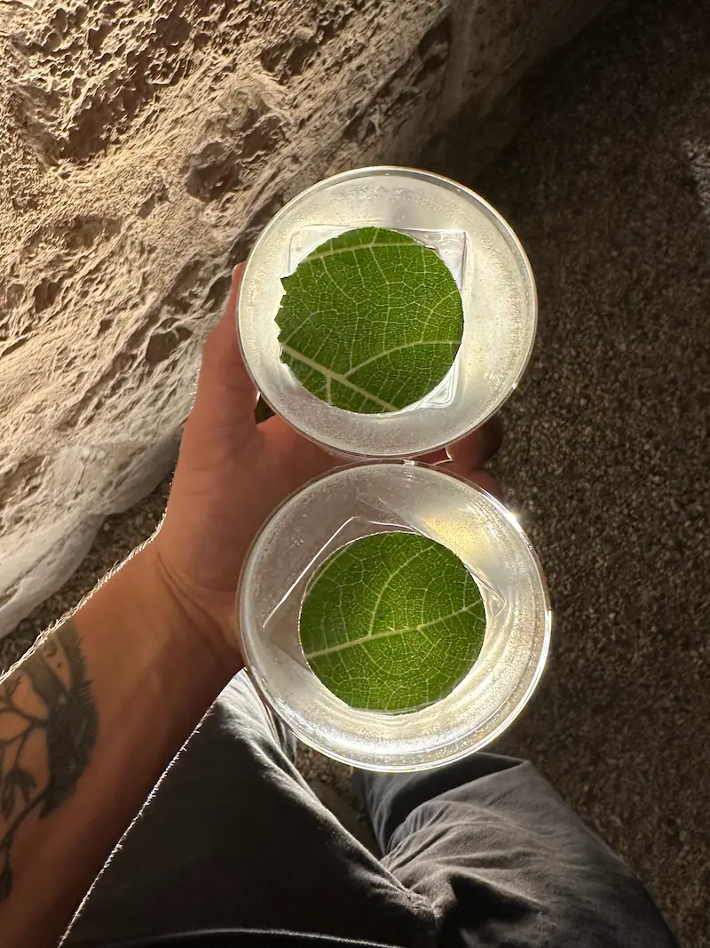 Premium spirits selection